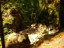 2013-07-20_Regina-F-Rau_Kochel-Rabenkopf (152).JPG